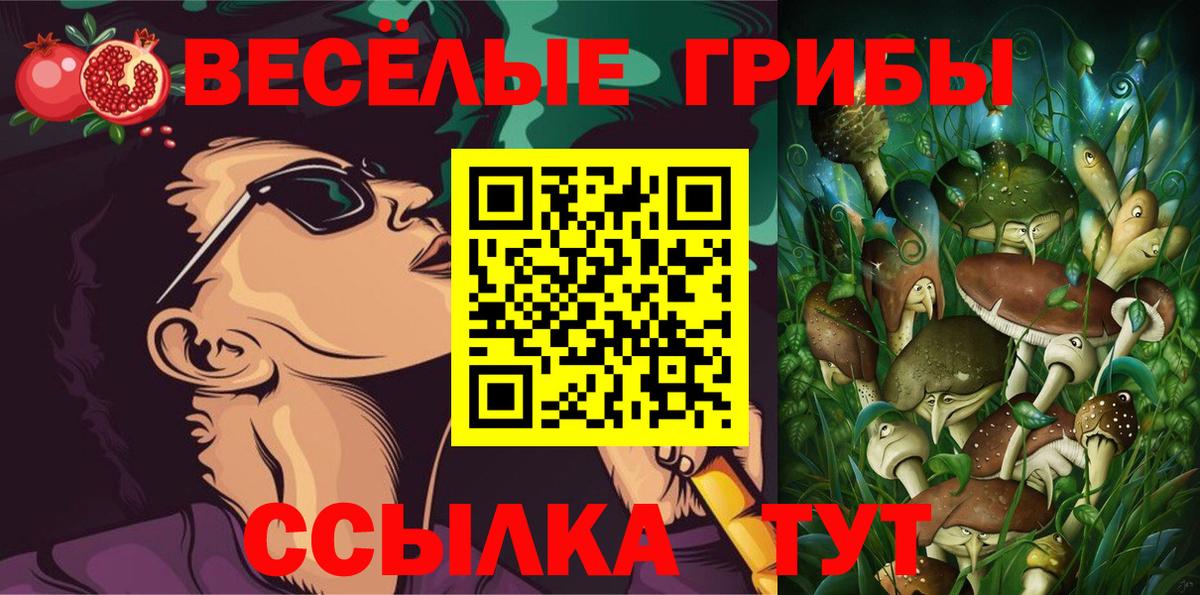 Псилоцибиновые грибы MAGIC MUSHROOMS Рославль